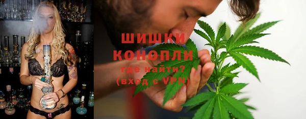 гашик Горняк