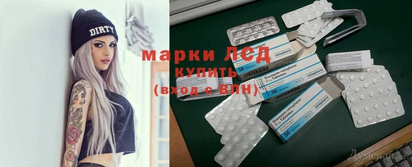 гашик Горняк