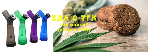 гашик Горняк