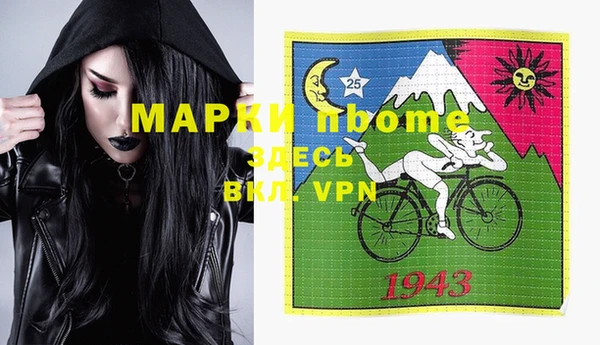 гашик Горняк