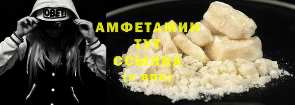 гашик Горняк