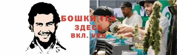 гашик Горняк