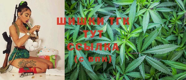 гашик Горняк