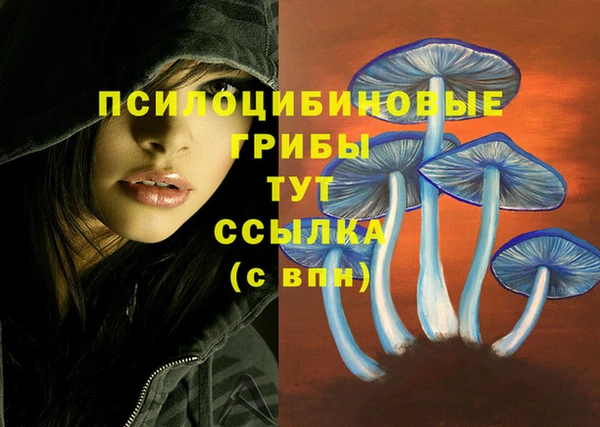 винт Горно-Алтайск