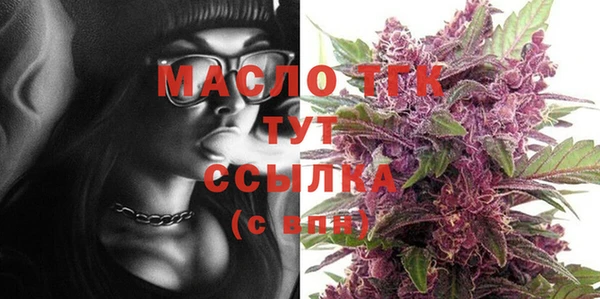 гашик Горняк