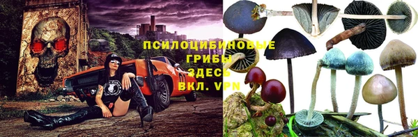 винт Горно-Алтайск
