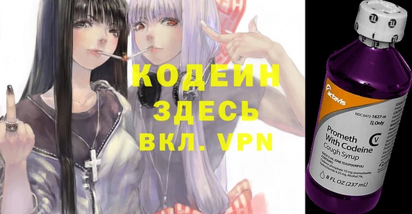 гашик Горняк
