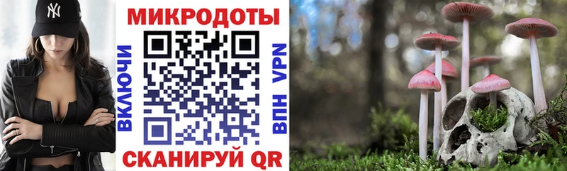 Купить закладки  Заполярный  Галлюциногенные грибы Psilocybine cubensis 